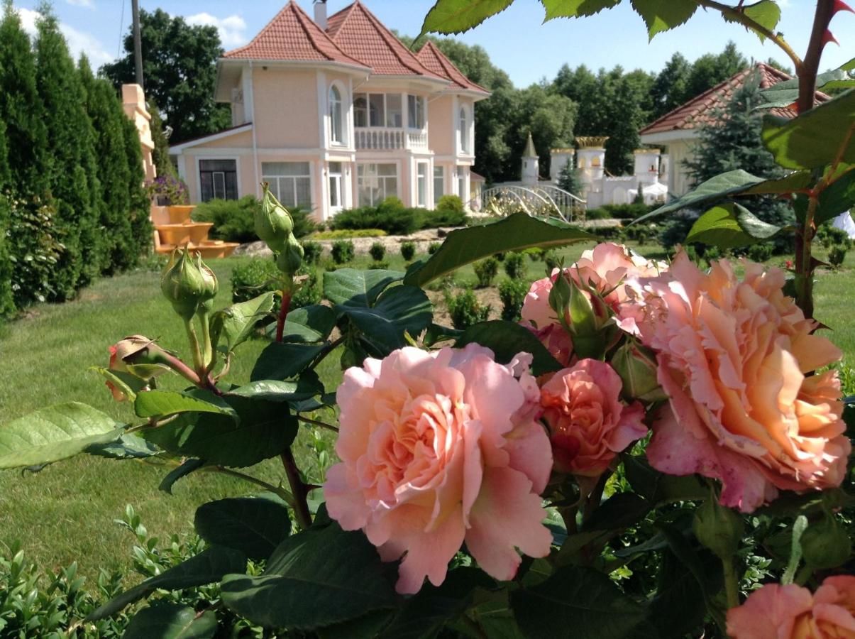 Загородные дома Villa Rose Teterivka-6