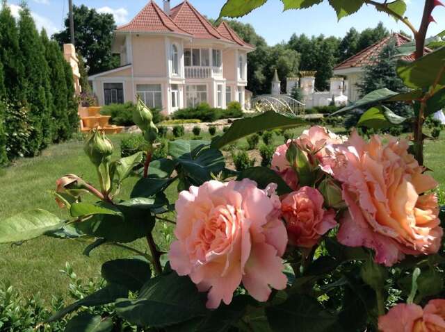 Загородные дома Villa Rose Teterivka-5